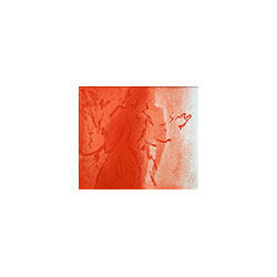 Walter Strobl: Illustration zu Balzac
