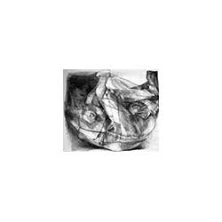 Walter Strobl: Illustration zu Balzac