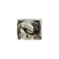 Walter Strobl: Œuvre inconnu IX/2019