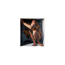 Walter Strobl: Trompe-l’oeil
